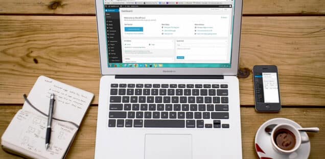 become a wordpress developer