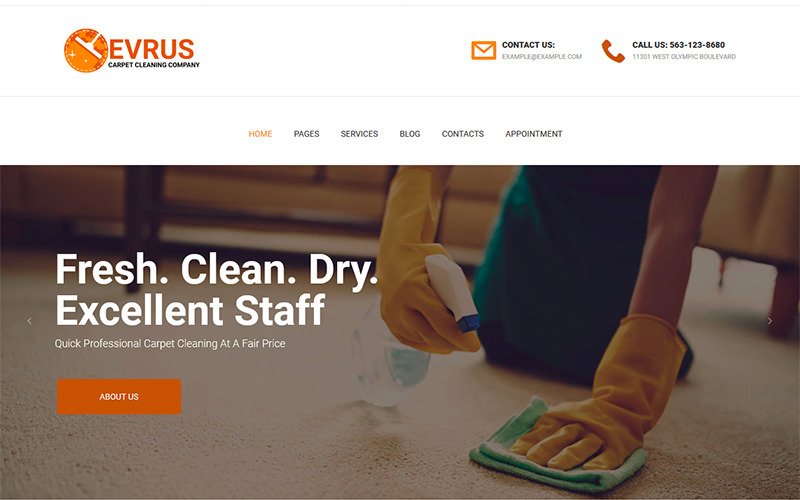 Evrus - Carpet Cleaning and Disinfection WordPress Theme