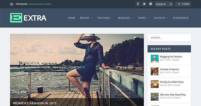 Extra WordPress Theme